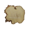 Plaster Akacji 30x27x3cm
