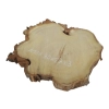 Plaster Akacji 30x27x3cm