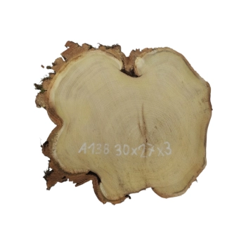 Plaster Akacji 30x27x3cm