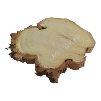 Plaster Akacji 30x27x3cm
