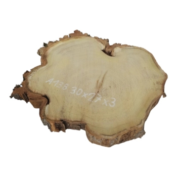 Plaster Akacji 30x27x3cm