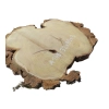 Plaster Akacji 32x30x3cm