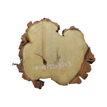 Plaster Akacji 32x30x3cm