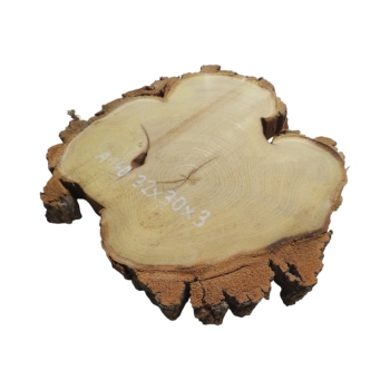 Plaster Akacji 32x30x3cm