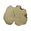 Plaster Akacji 30x27x3cm
