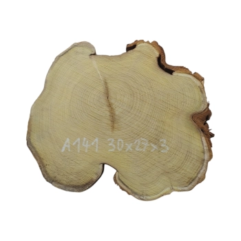 Plaster Akacji 30x27x3cm