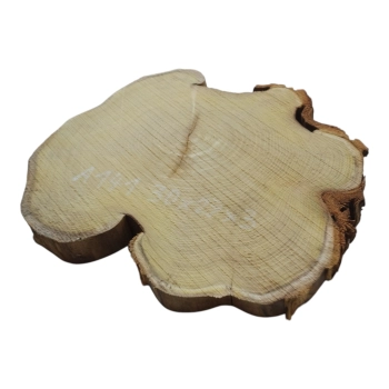Plaster Akacji 30x27x3cm