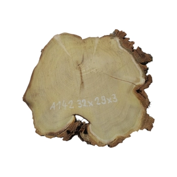 Plaster Akacji 32x29x3cm