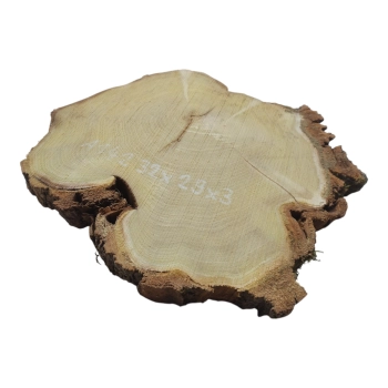 Plaster Akacji 32x29x3cm