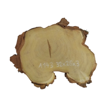 Plaster Akacji 32x26x3cm