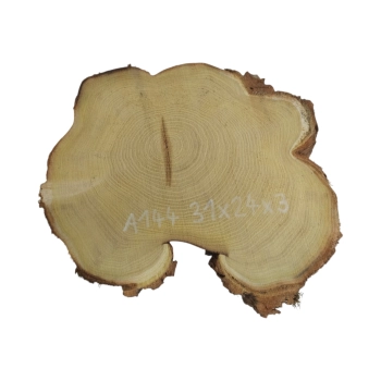 Plaster Akacji 31x24x3cm