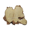 Plaster Akacji 32x29x3cm