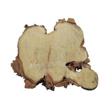 Plaster Akacji 32x29x3cm