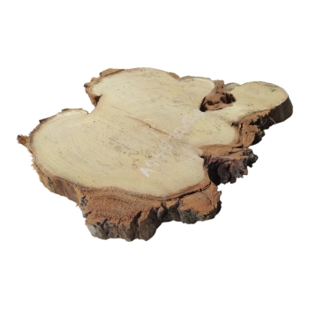 Plaster Akacji 32x29x3cm