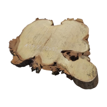 Plaster Akacji 32x29x3cm