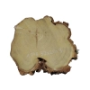 Plaster Akacji 30x28x3cm