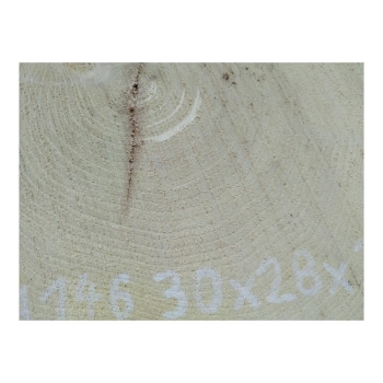 Plaster Akacji 30x28x3cm
