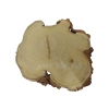 Plaster Akacji 30x27x3cm