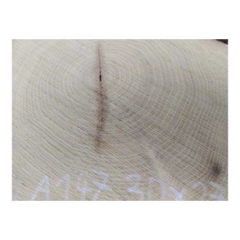Plaster Akacji 30x27x3cm