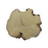 Plaster Akacji 30x27x3cm