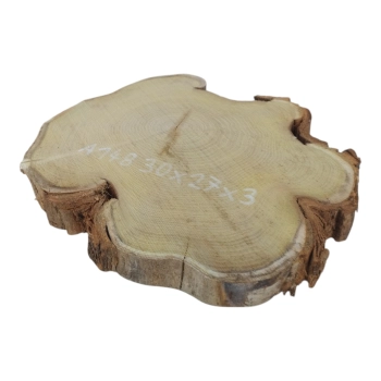 Plaster Akacji 30x27x3cm