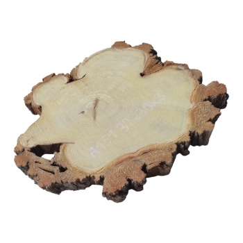 Plaster Akacji 32x30x3cm
