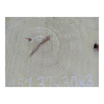 Plaster Akacji 32x30x3cm