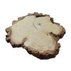 Plaster Akacji 31x30x3cm
