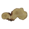 Plaster Akacji 50x24x3cm