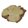 Plaster Akacji 30x28x3cm
