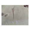 Plaster Akacji 30x28x3cm