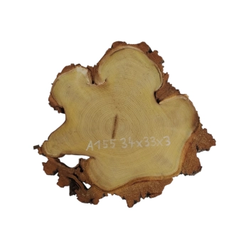 Plaster Akacji 34x33x3cm
