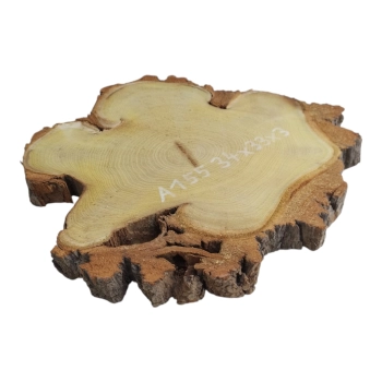 Plaster Akacji 34x33x3cm
