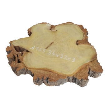 Plaster Akacji 34x33x3cm