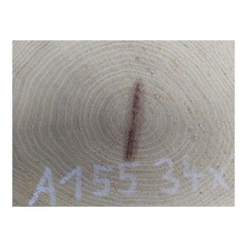 Plaster Akacji 34x33x3cm