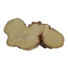 Plaster Akacji 43x23x3cm