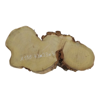 Plaster Akacji 43x23x3cm