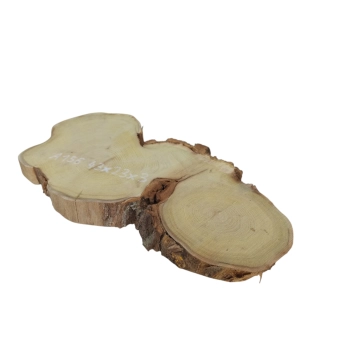 Plaster Akacji 43x23x3cm