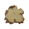 Plaster Akacji 30x30x3cm