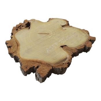 Plaster Akacji 30x30x3cm