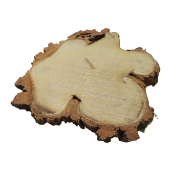 Plaster Akacji 30x30x3cm