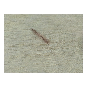 Plaster Akacji 30x30x3cm