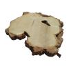 Plaster Akacji 30x31x3cm