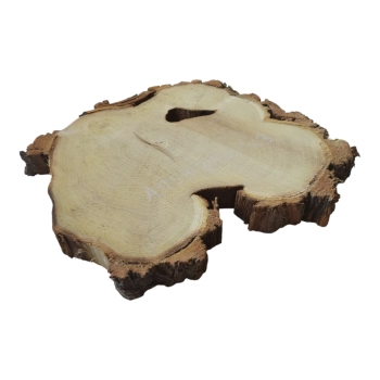 Plaster Akacji 30x31x3cm