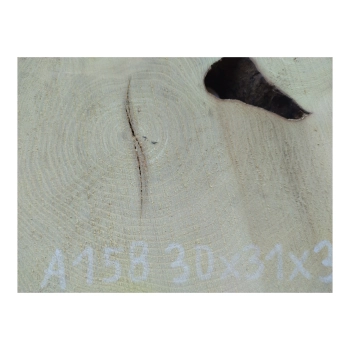 Plaster Akacji 30x31x3cm