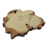 Plaster Akacji 30x33x3cm
