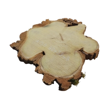 Plaster Akacji 30x33x3cm