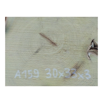Plaster Akacji 30x33x3cm