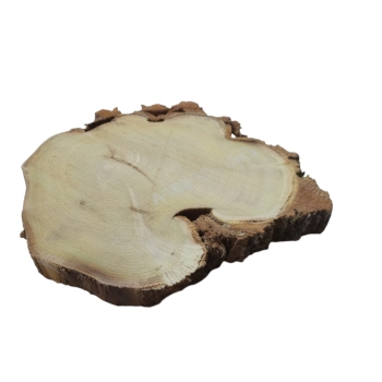 Plaster Akacji 30x29x3cm