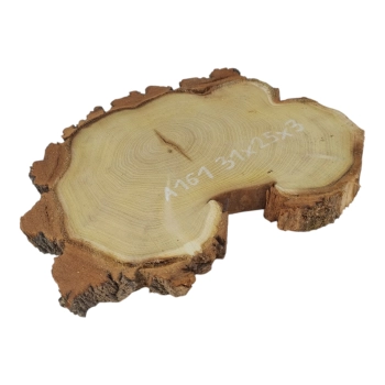 Plaster Akacji 31x25x3cm